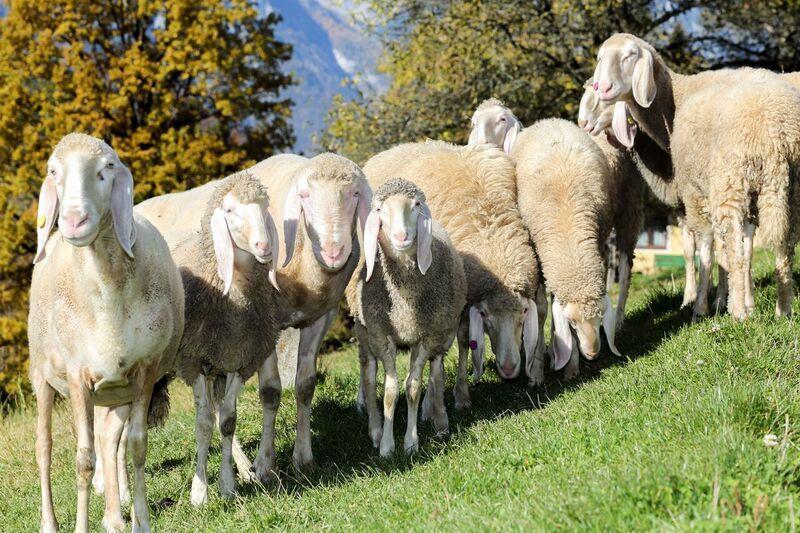 شقة Bio-Bauernhof Einberghof بفارويرفين المظهر الخارجي الصورة