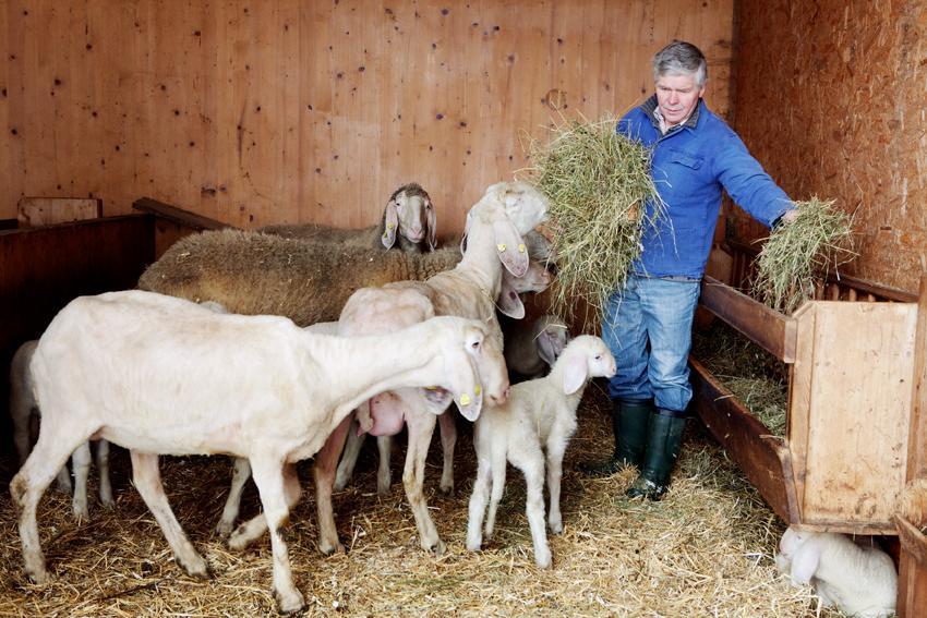 شقة Bio-Bauernhof Einberghof بفارويرفين المظهر الخارجي الصورة